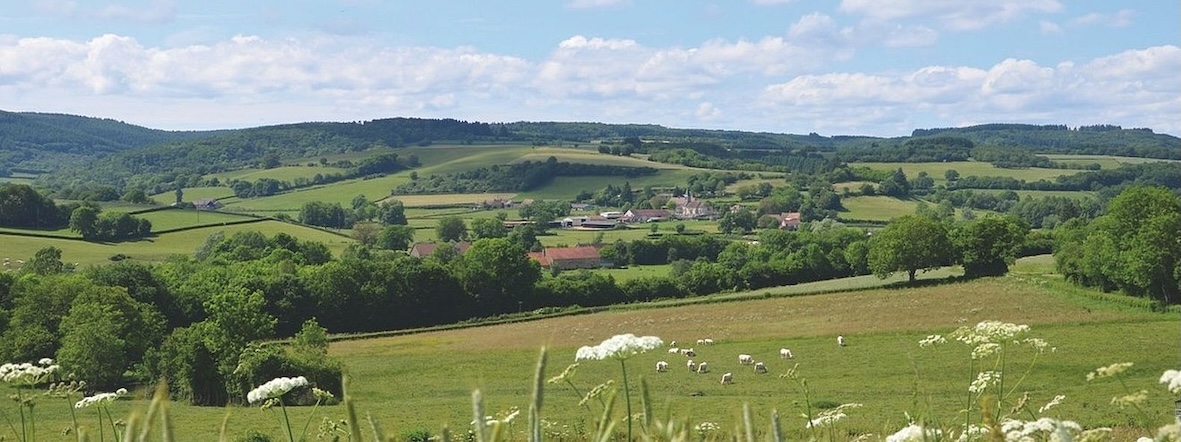 csm_barnay_a468688bf3